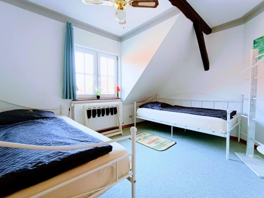 Ruhiges Exzellenz-Appartement Diana Im Elb-Urstromtal - Fast Wlan, Good For Long-Terms Bleckede Exterior foto