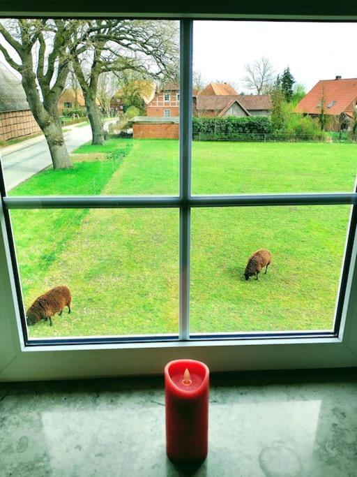 Ruhiges Exzellenz-Appartement Diana Im Elb-Urstromtal - Fast Wlan, Good For Long-Terms Bleckede Exterior foto